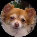 Nancy Pijpers-Gerlagh