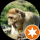 Dekken,Herman H. van