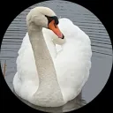 anneke van Lakerveld