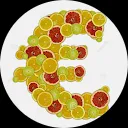 Raymon Nieuwenhuizen