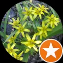 Irina Nikita -Radzevičienė