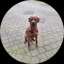 ROLANDDOGLOVER2003