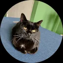 Anita Aspeslagh Klitz