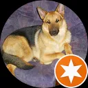 dienie schokkenbroek