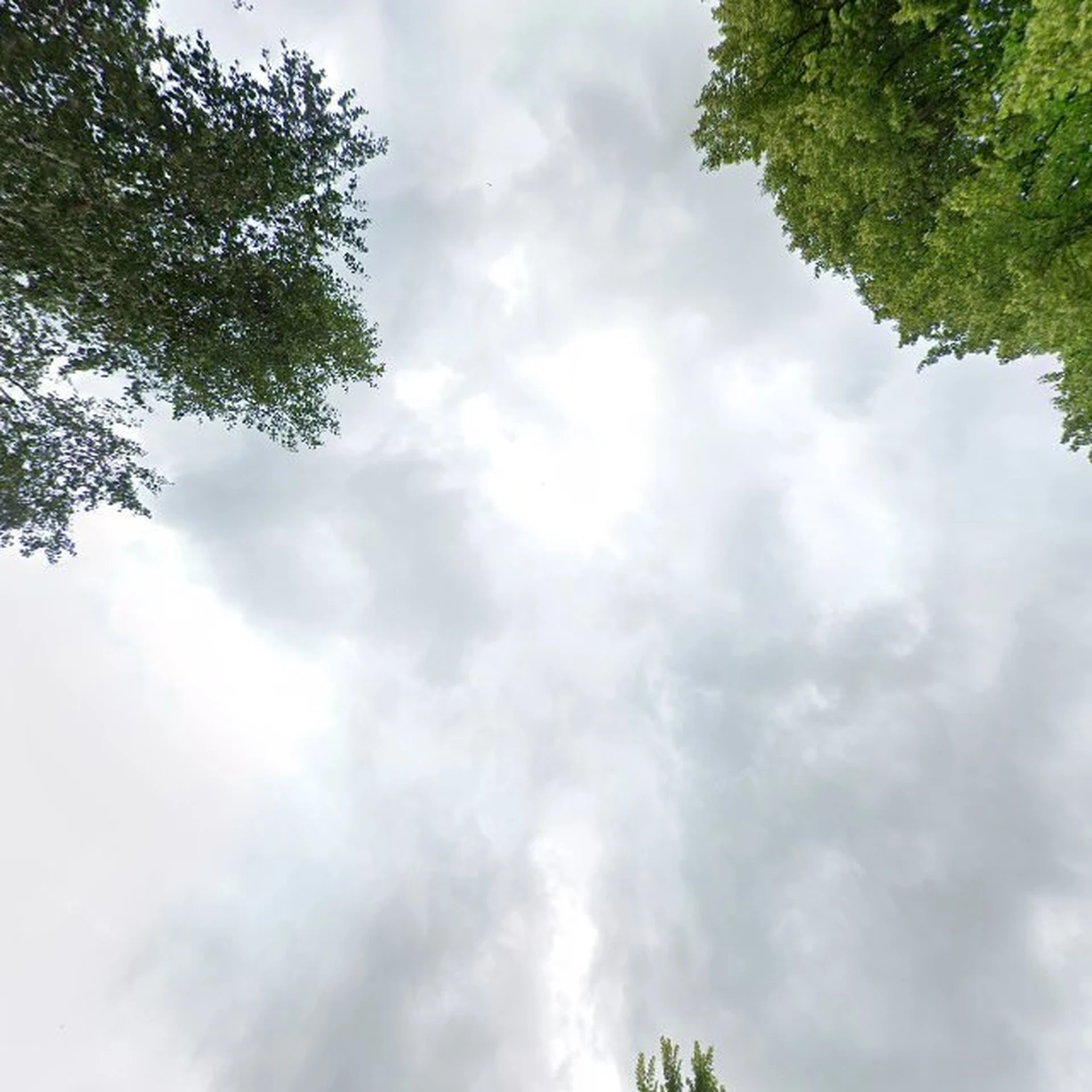 Kringloopwinkel Kringloopwinkel 2e hands handel westerwolde in Bellingwolde