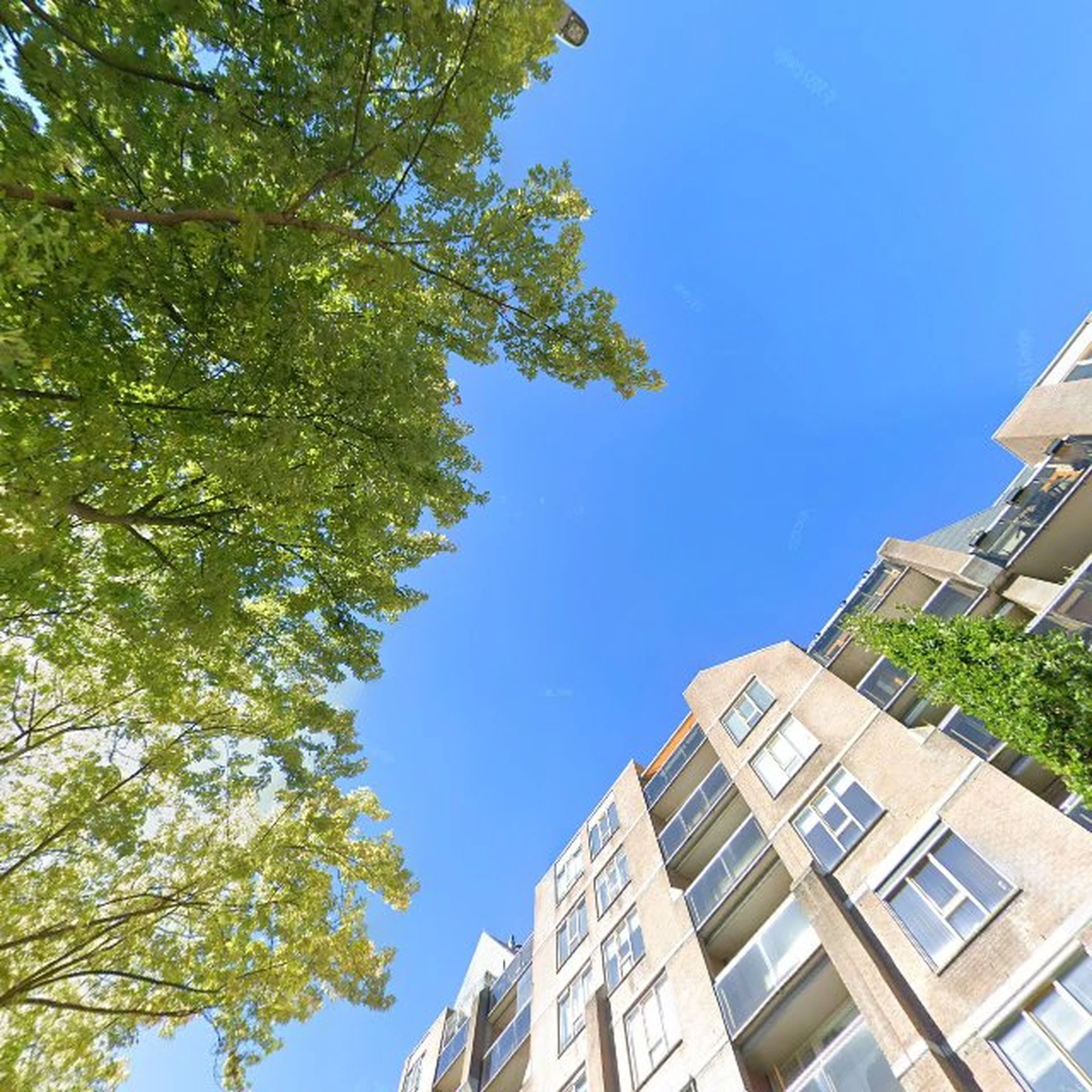 Kringloopwinkel Kringloopwinkel 2e Hands Nieuwe Kans in Zoetermeer