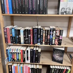 Boekenkasten met tweedehands boeken, voornamelijk fantasy en thrillers met zwarte ruggen