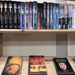 Boekenrekken met dvd's en boeken, waaronder werken van Dan Brown en Sandra Brown op de planken