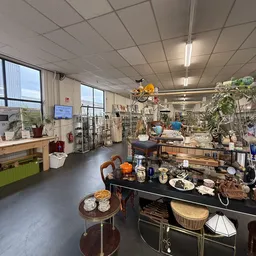 Ruime kringloopwinkel met diverse tweedehands spullen: meubels, huishoudartikelen, planten en decoratie uitgestald op tafels 