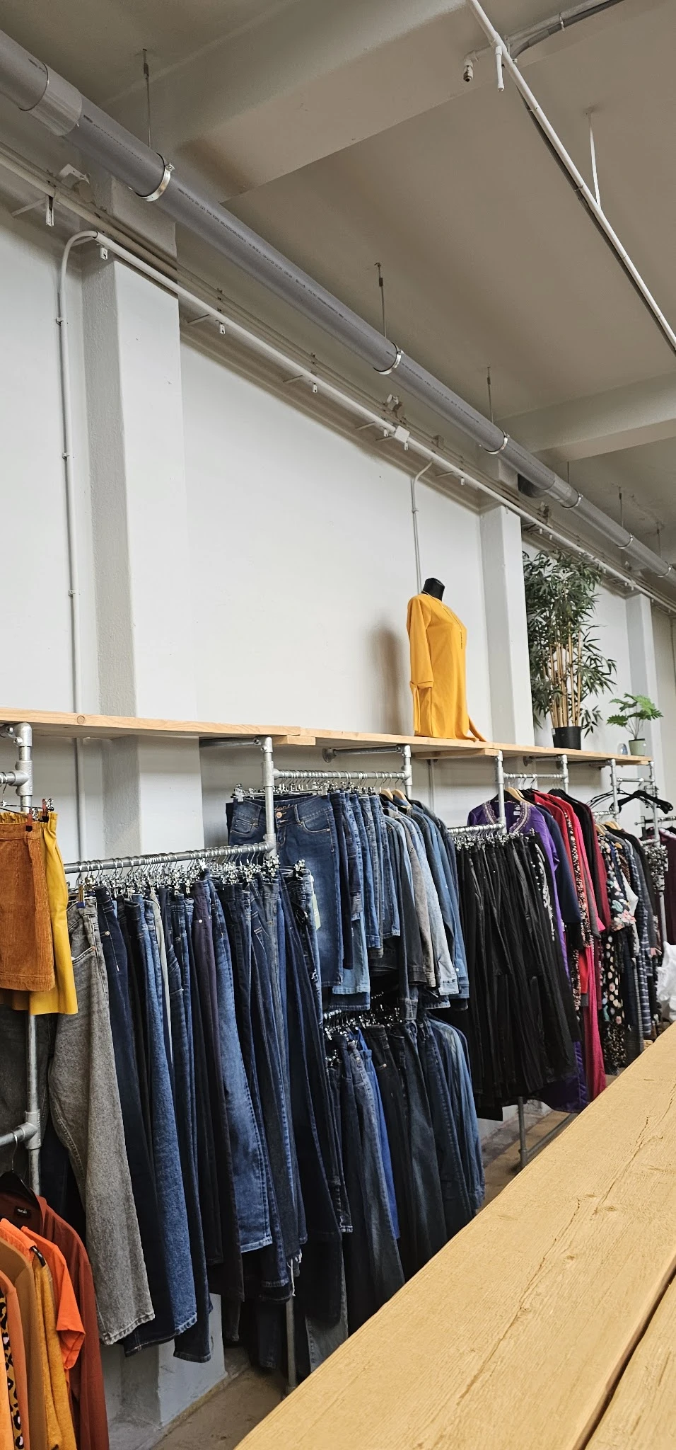Rekken met tweedehands kleding, waaronder jeans, donkere kleding en een geel kledingstuk op een plank erbovenop