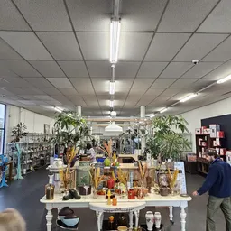Overzicht van de winkelvloer met tafels vol huishoudartikelen, planten en decoratie, fluorescente verlichting aan plafond