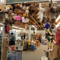 Winkelvloer van kringloopwinkel met speelgoed, poppen en knuffels aan het plafond opgehangen, rekken en dozen met allerlei sp
