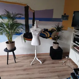 Winkelinterieur met houten vloer, mannequin, planten in potten, tv en meubels