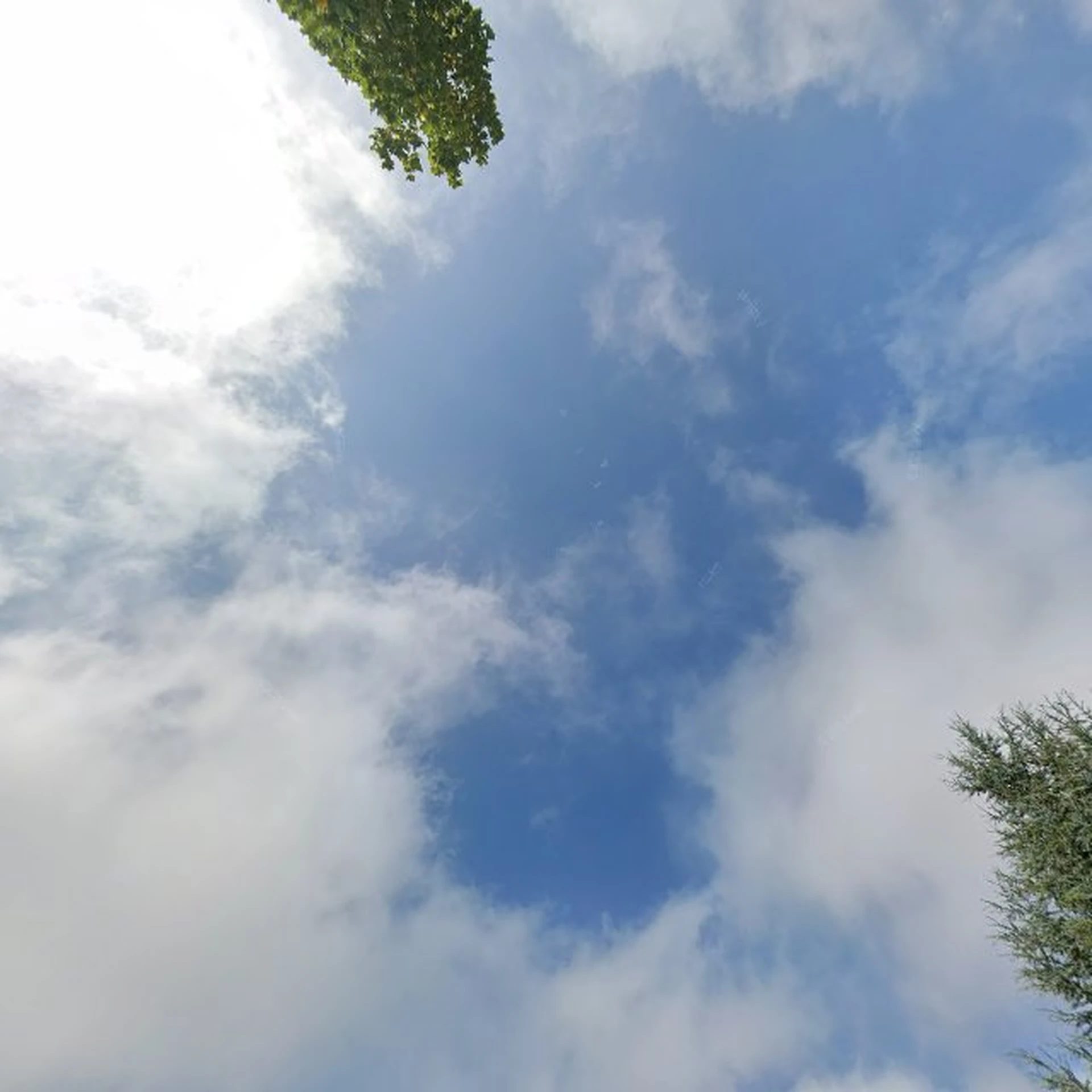 Kringloopwinkel Kringloopwinkel 2Switch Westervoort in Westervoort