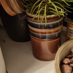 Close-up van twee bruine keramische plantenpotten met groene plant erin, op een oppervlak
