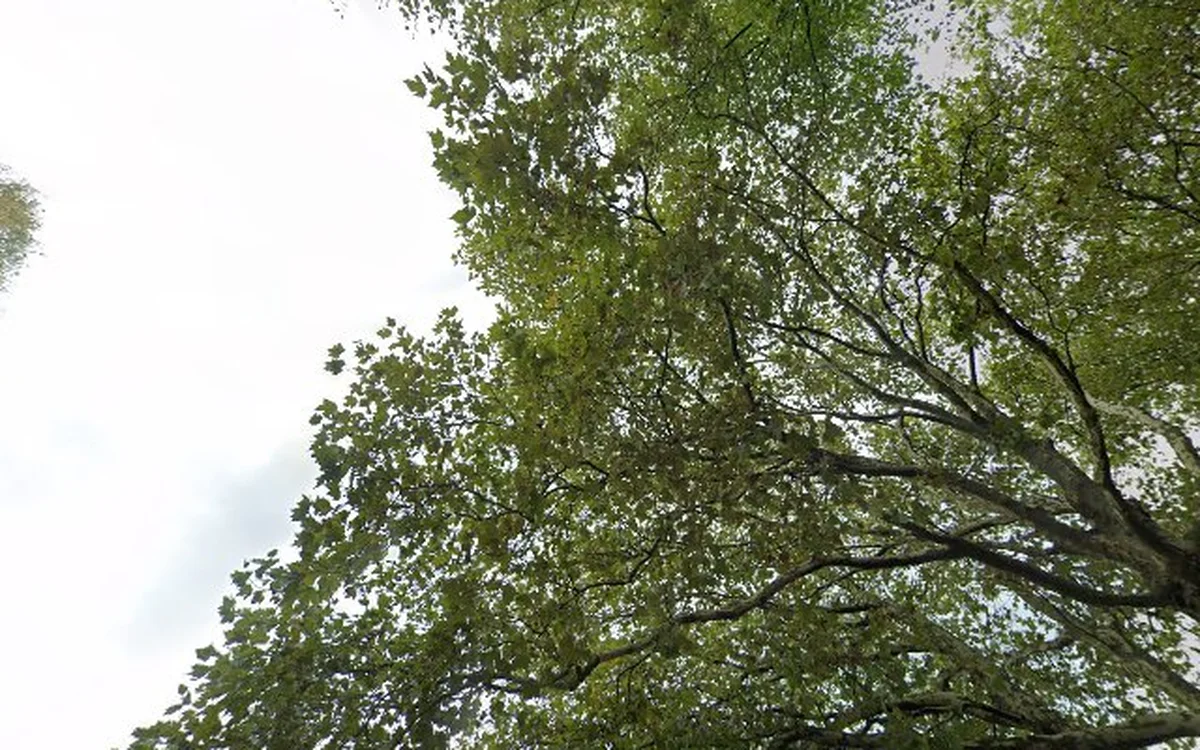 Kringloopwinkel Kringloopwinkel Actie Comité Rehoboth in Berkel en Rodenrijs