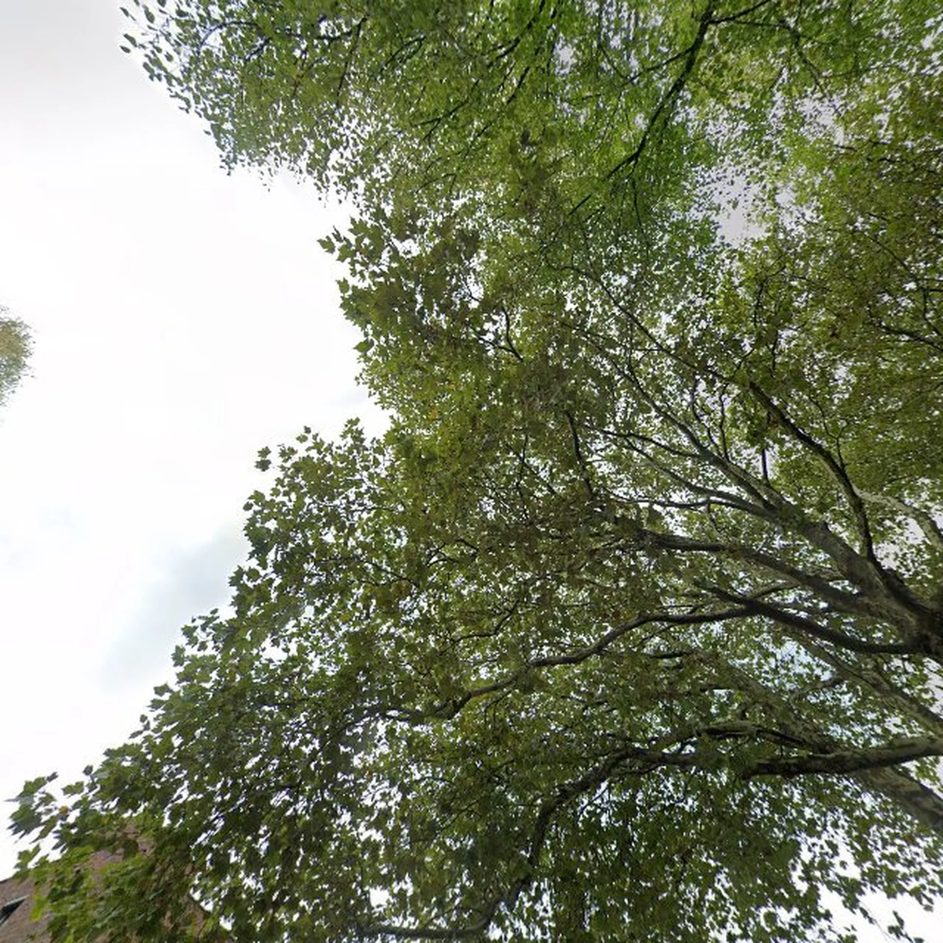 Kringloopwinkel Kringloopwinkel Actie Comité Rehoboth in Berkel en Rodenrijs