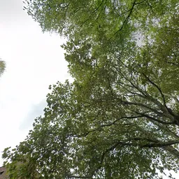 Kringloopwinkel Kringloopwinkel Actie Comité Rehoboth in Berkel en Rodenrijs