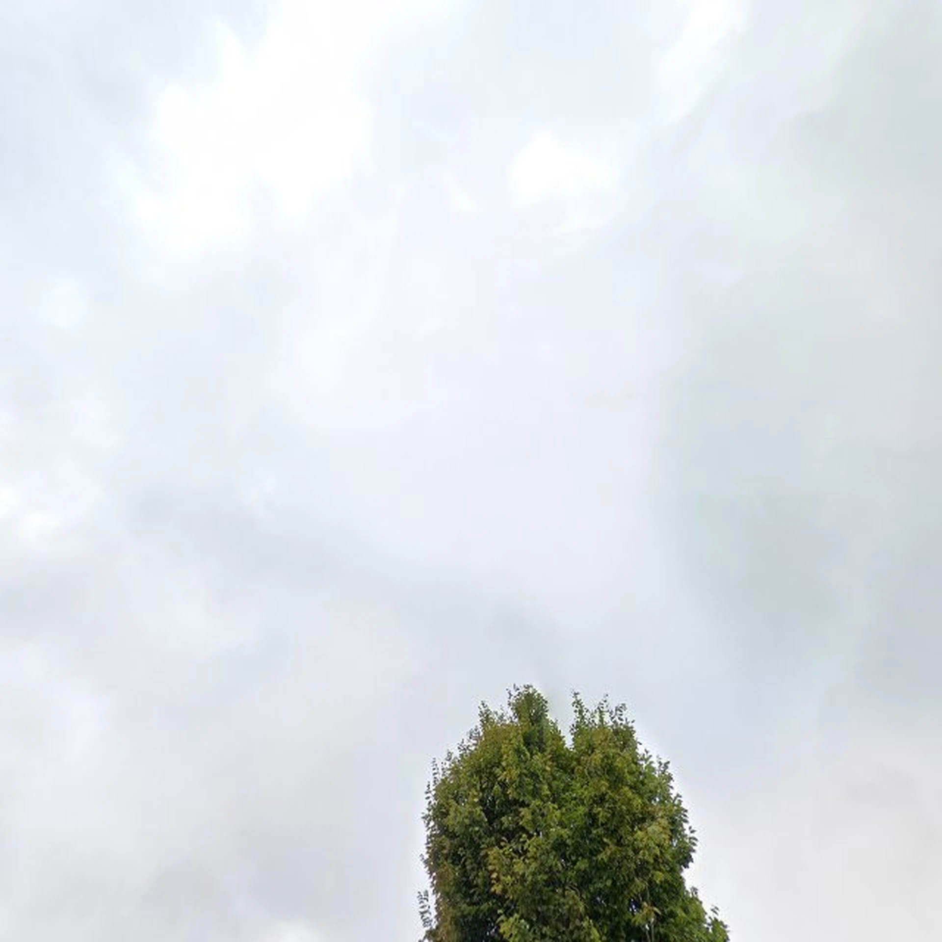 Kringloopwinkel Kringloopwinkel Activiteitencentrum de Loodz in Sint-Oedenrode