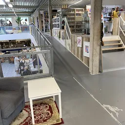 Bezoeker foto van Again and Co in Ridderkerk