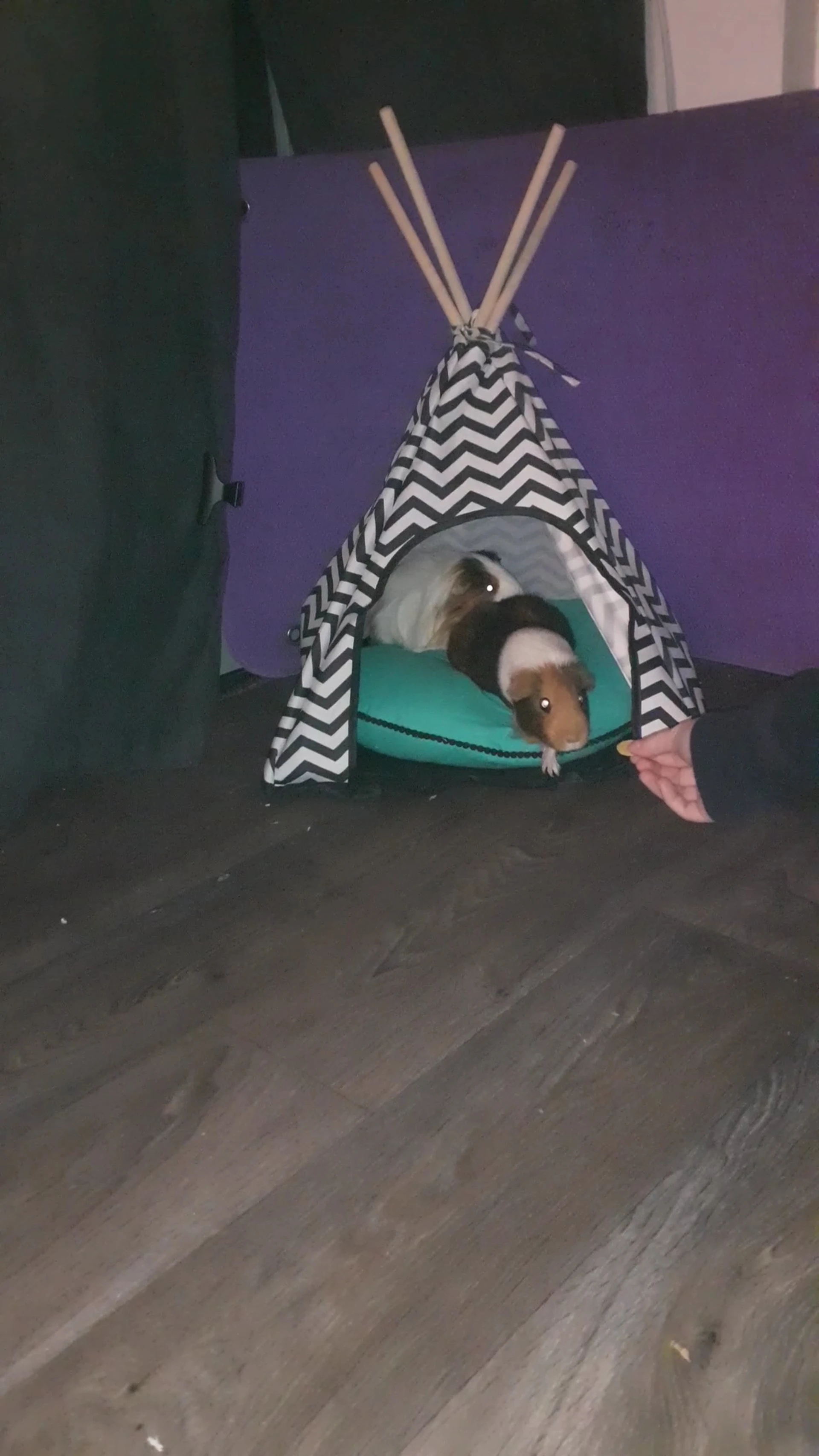 Kringloopwinkel Aktief Kringloopwinkel Gendringen in Gendringen