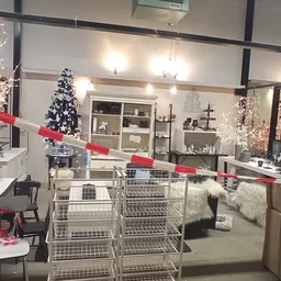 Winkelvloer met winkelwagentjes, kerstdecoratie en huisraad zoals lampen en meubels