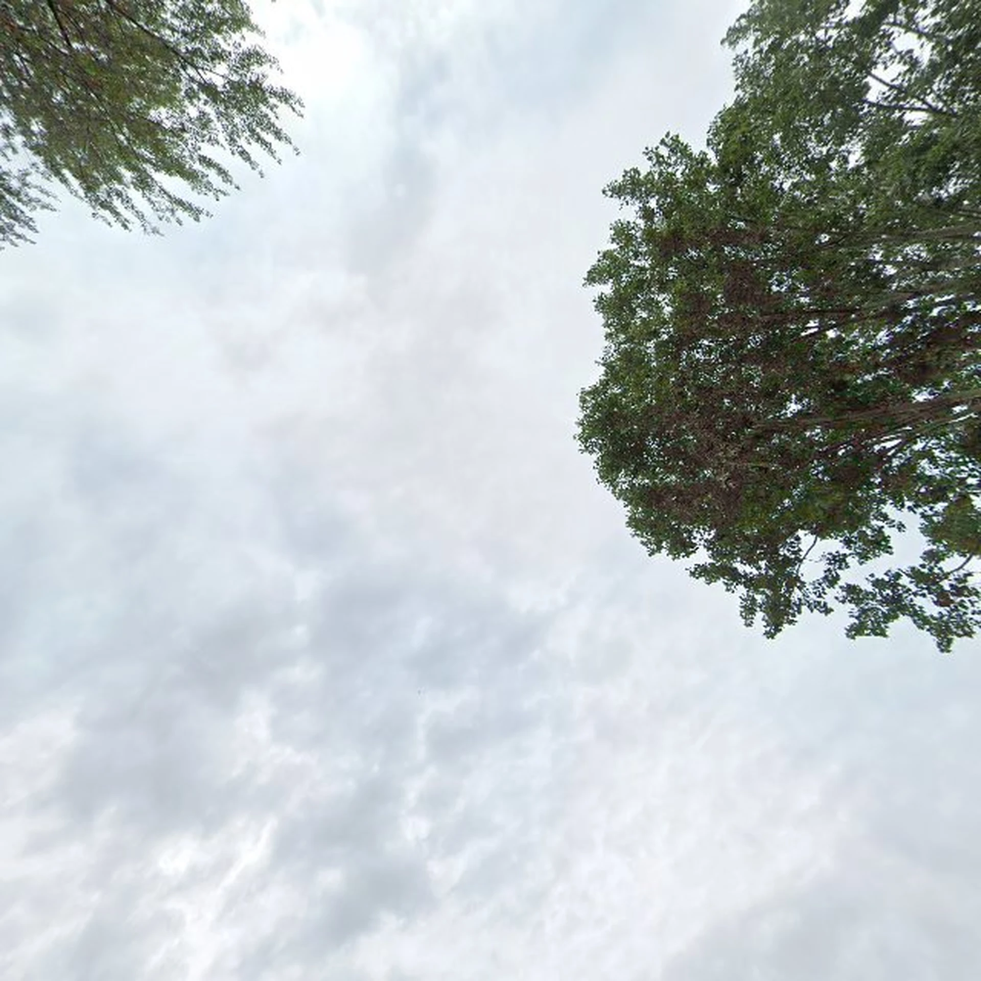 Kringloopwinkel Kringloopwinkel alledaags & bijzonder in Koog aan de Zaan