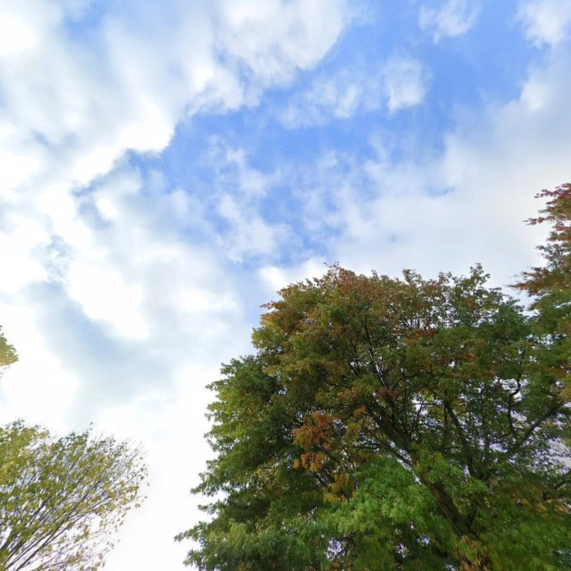 Kringloopwinkel Allerhande Kringloop Peel en Maas in Panningen