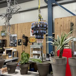 Binnenkant kringloopwinkel met houten wand, hangend decoratief item, plantenbakken en rode retro-koelkast