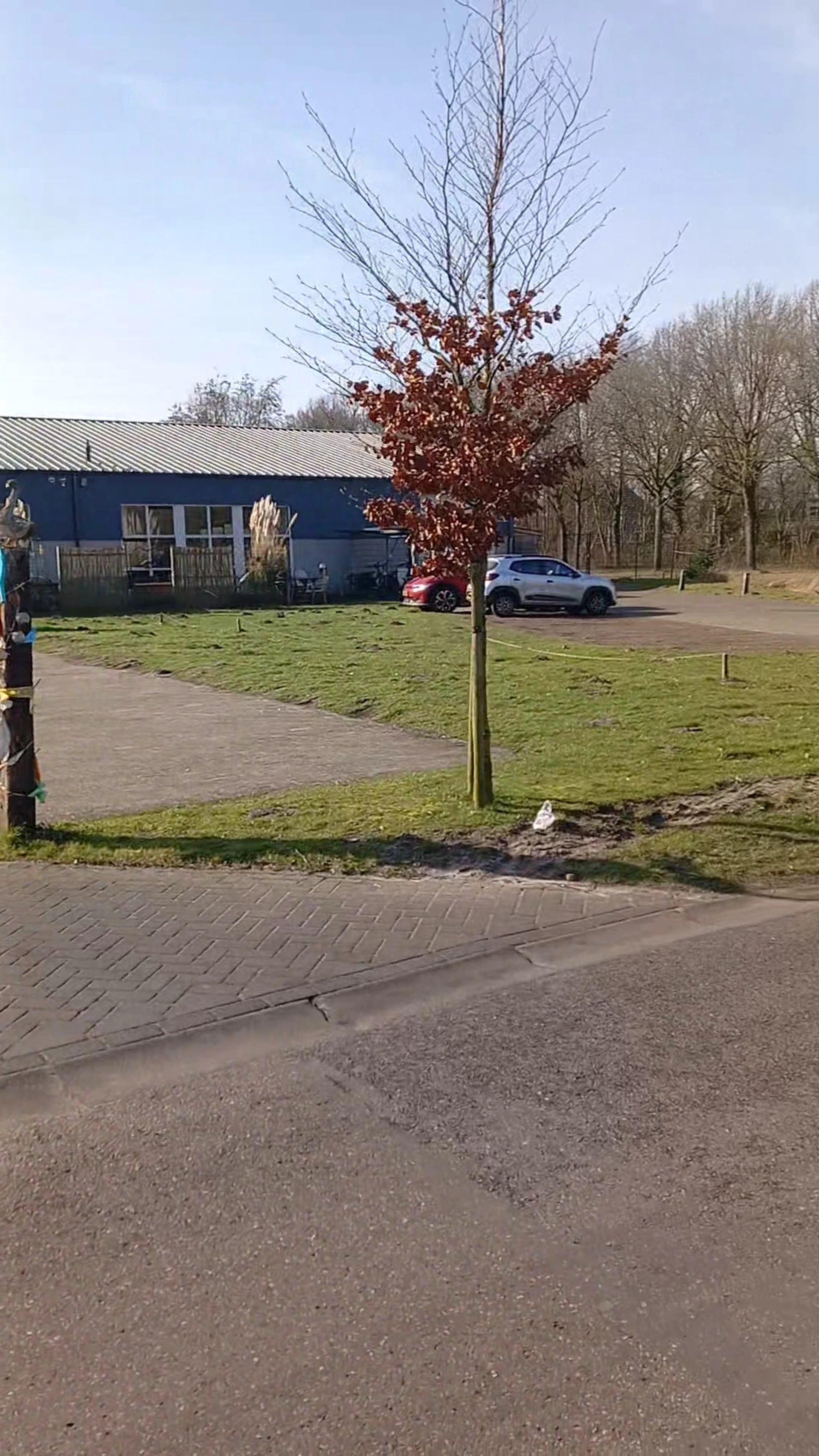 Kringloopwinkel Alliade Gorredijk in Gorredijk