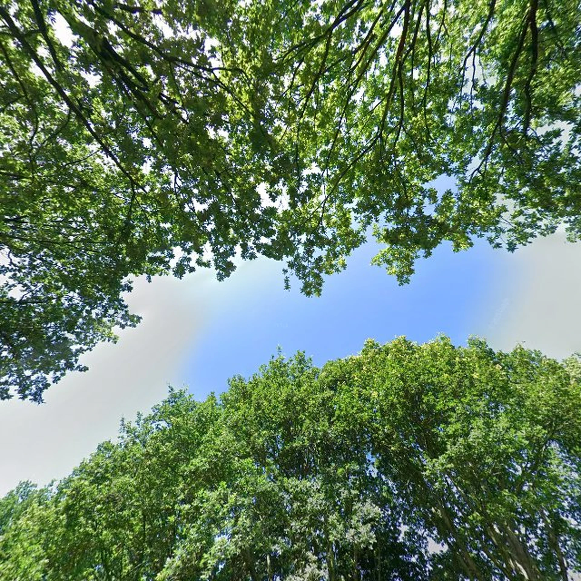 Kringloopwinkel Alliade Gorredijk in Gorredijk