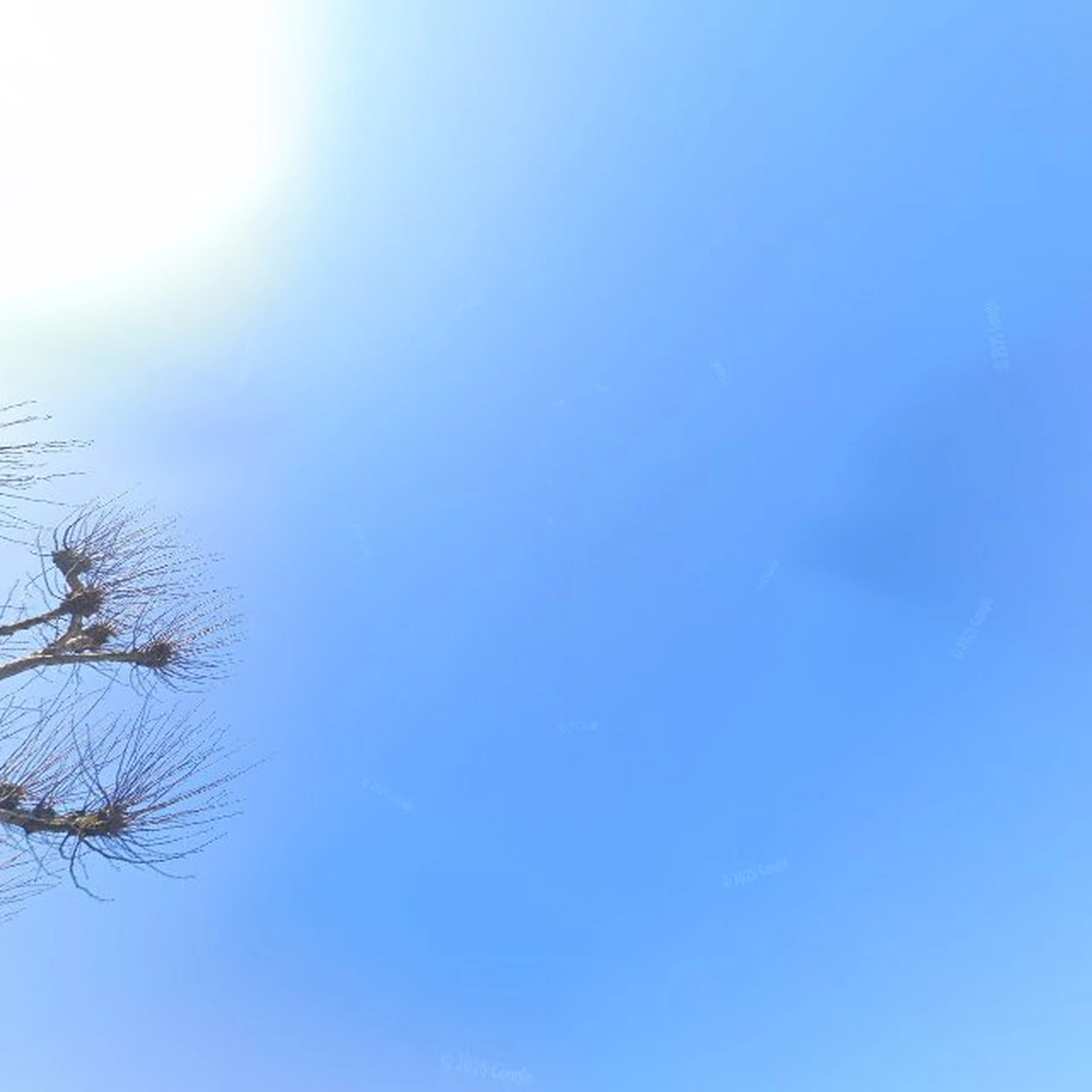 Kringloopwinkel Kringloopwinkel alotta-verantwoord vintage in Schagen