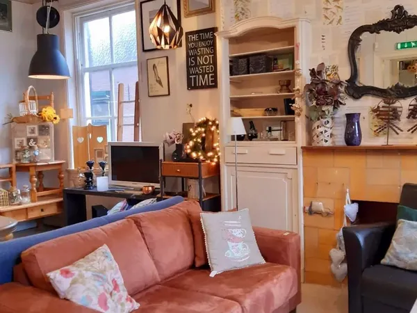 Woonkamer interieur met roze bank, boekenkasten, vintage spullen en decoratie