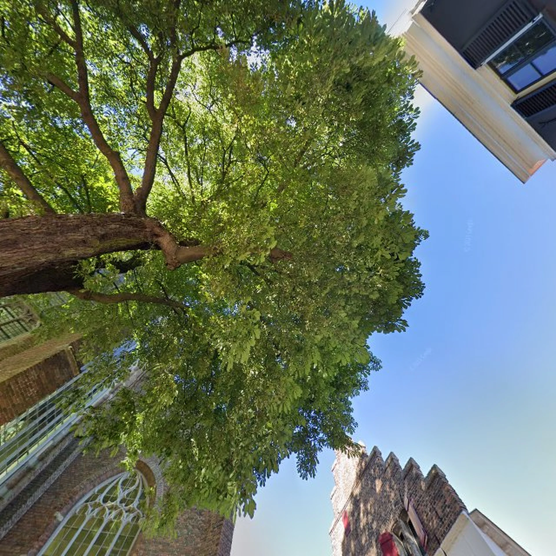 Kringloopwinkel Appel & Ei Doesburg in Doesburg