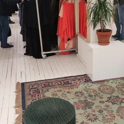 Winkelvloer met kleding op rekken, decoratief tapijt en potplant