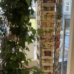 Verticale displayrek met vintage kaarten en ansichtkaarten, links een groene plant