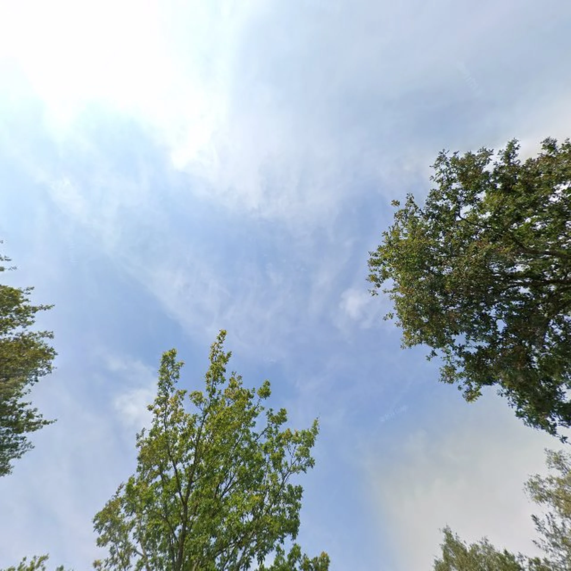 Kringloopwinkel Asser kringloopwinkel Het Struunhuus in Assen