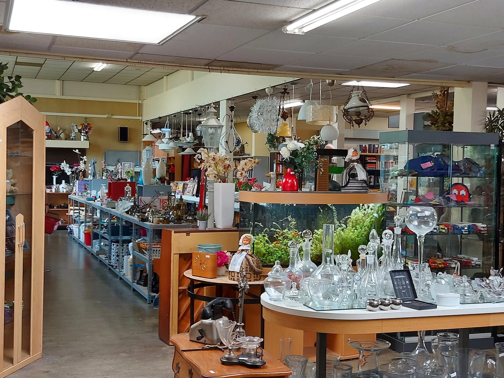 Winkelvloer van kringloopwinkel met glazen vitrines, houten toonbanken en diverse uitgestalde spullen