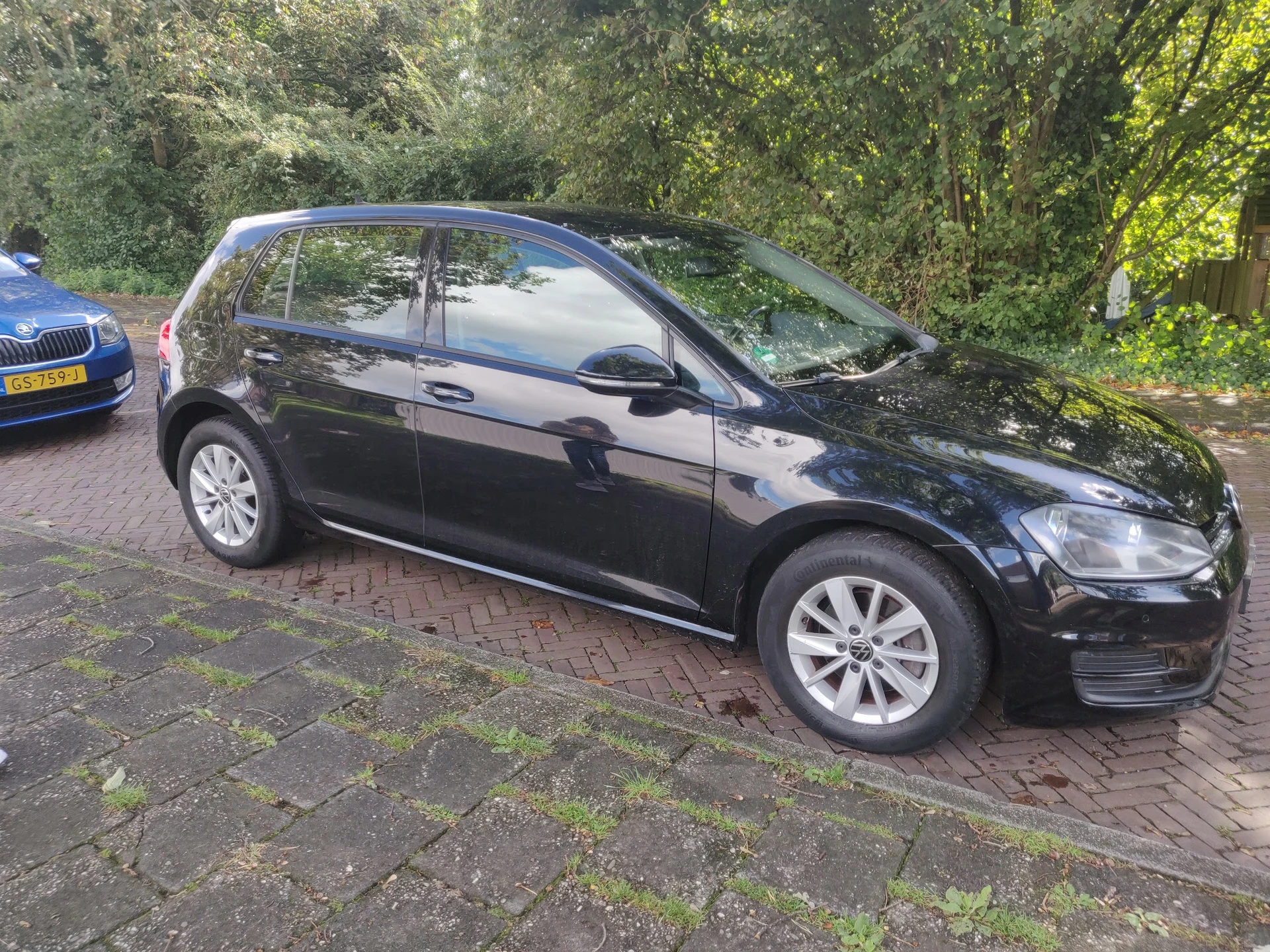 Zwarte Volkswagen Golf geparkeerd op een bakstenen oprit onder bomen