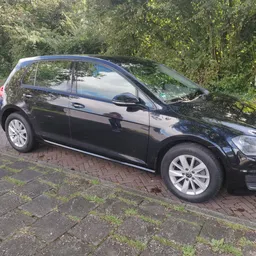 Zwarte Volkswagen Golf geparkeerd op een bakstenen oprit onder bomen