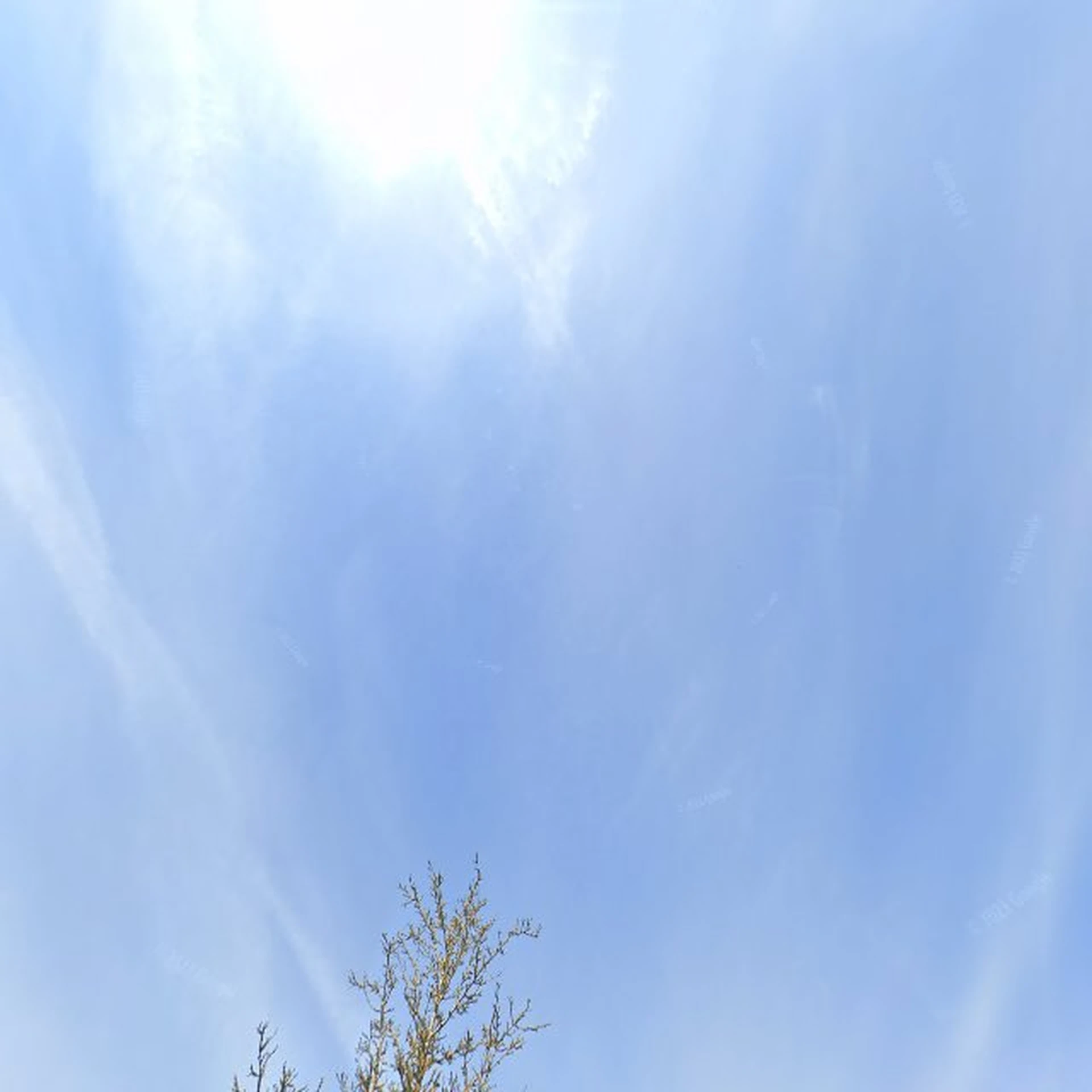 Kringloopwinkel Bartje Kringloopwinkel in Culemborg