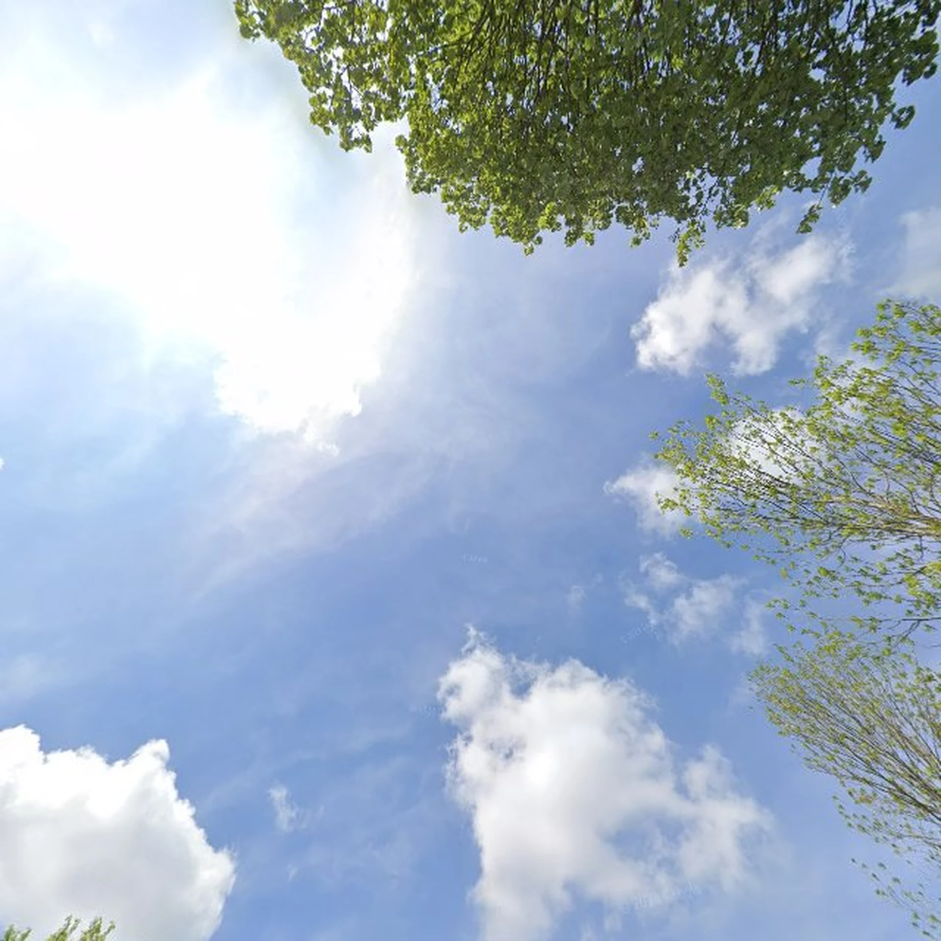 Kringloopwinkel Kringloopwinkel Belevingsboerderij de Zes Grazen in Sint Annen