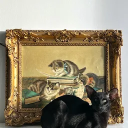 Bezoeker foto van Kringloopwinkel Bennie's Old Things in Leiden