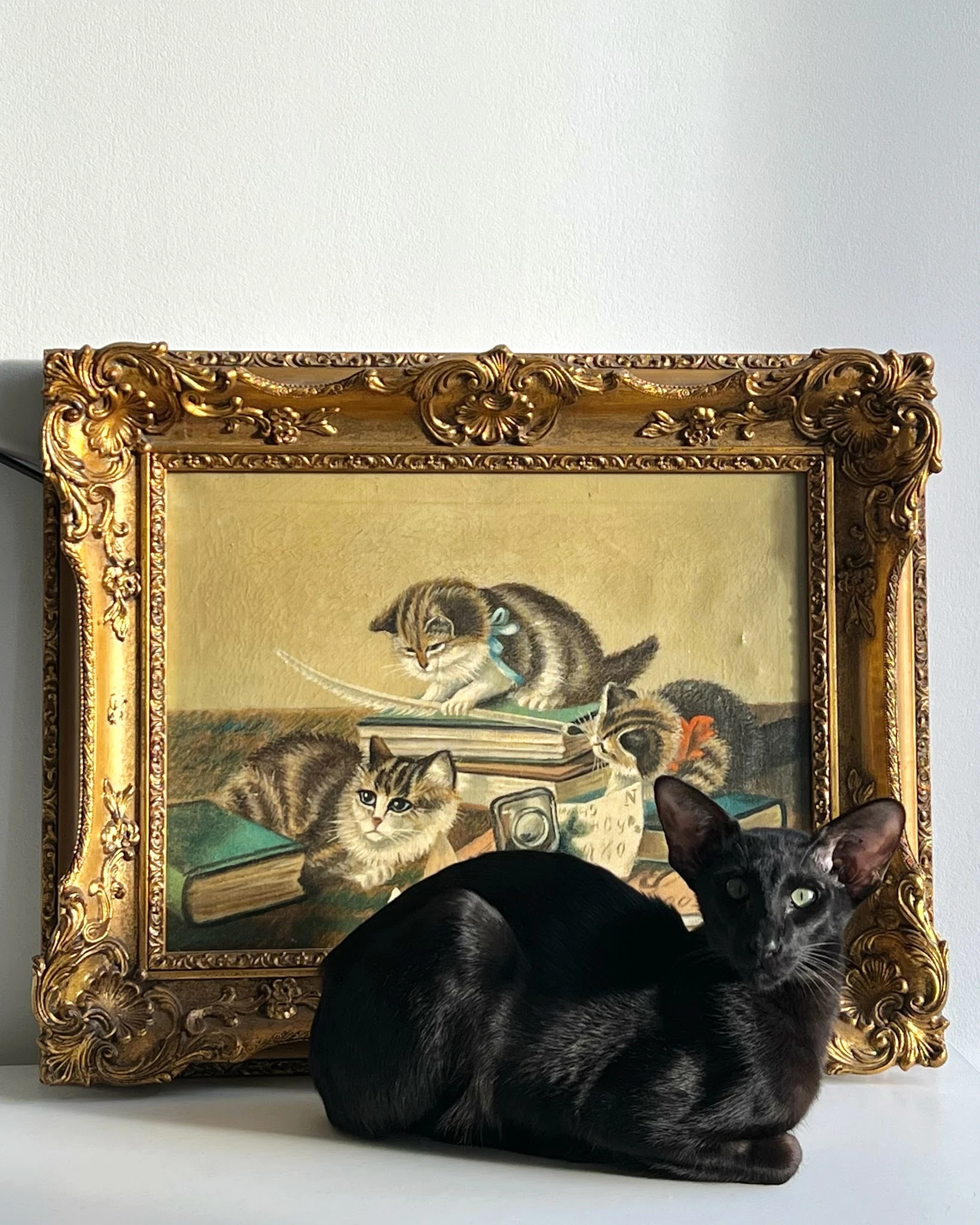 Ingelijst schilderij met drie katten bij boeken, met gouden ornamentale lijst