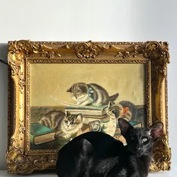 Ingelijst schilderij met drie katten bij boeken, met gouden ornamentale lijst
