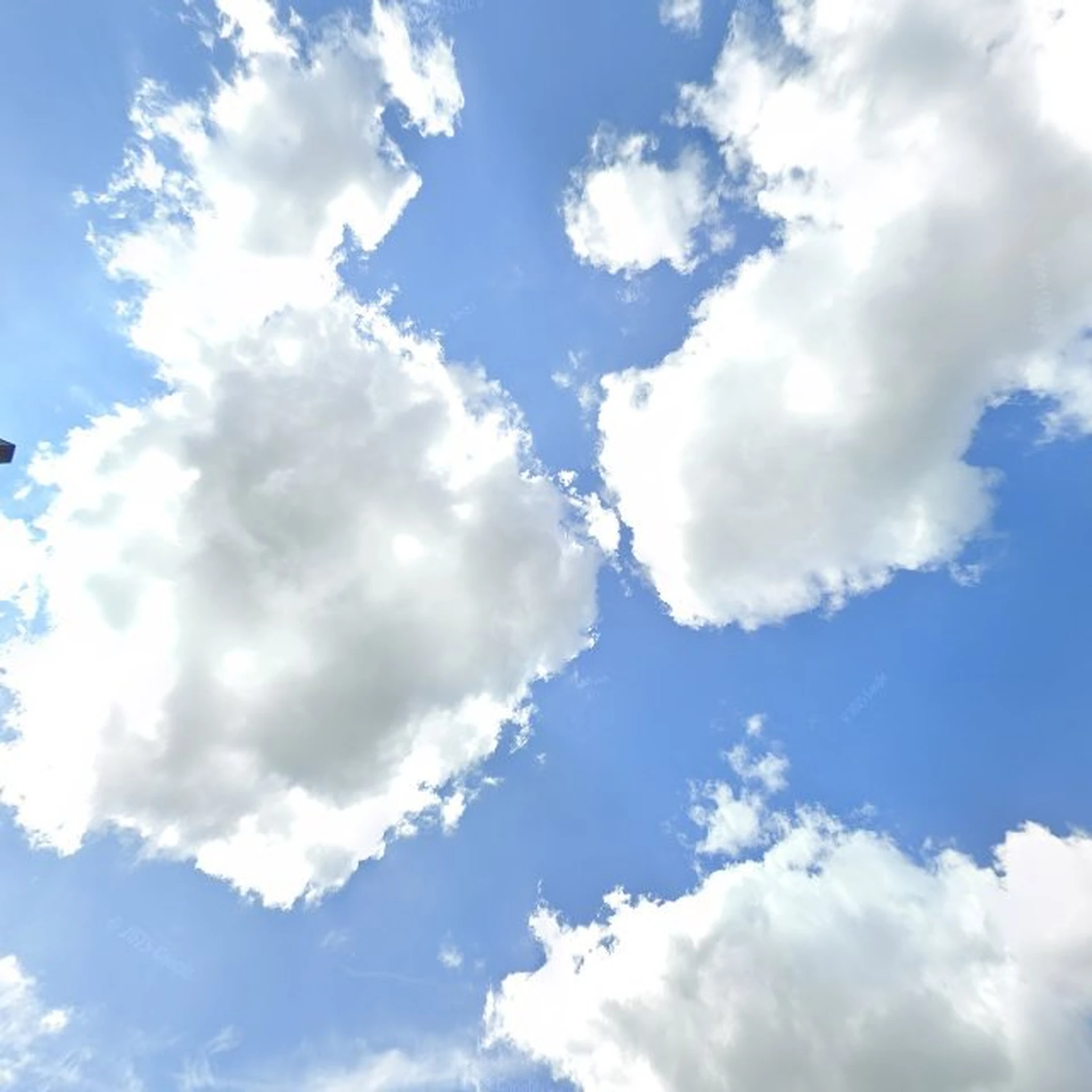 Kringloopwinkel Bij Mien in Zutphen