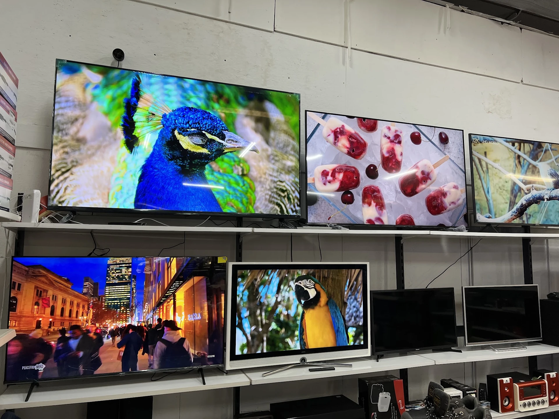 Televisies op stellingen in de winkel, waaronder modellen met afbeeldingen van een pauw, bessen en andere onderwerpen