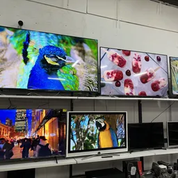 Televisies op stellingen in de winkel, waaronder modellen met afbeeldingen van een pauw, bessen en andere onderwerpen
