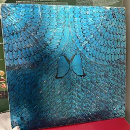 Kunstwerk of decoratie met blauwe vleugels en een vlinder in het midden
