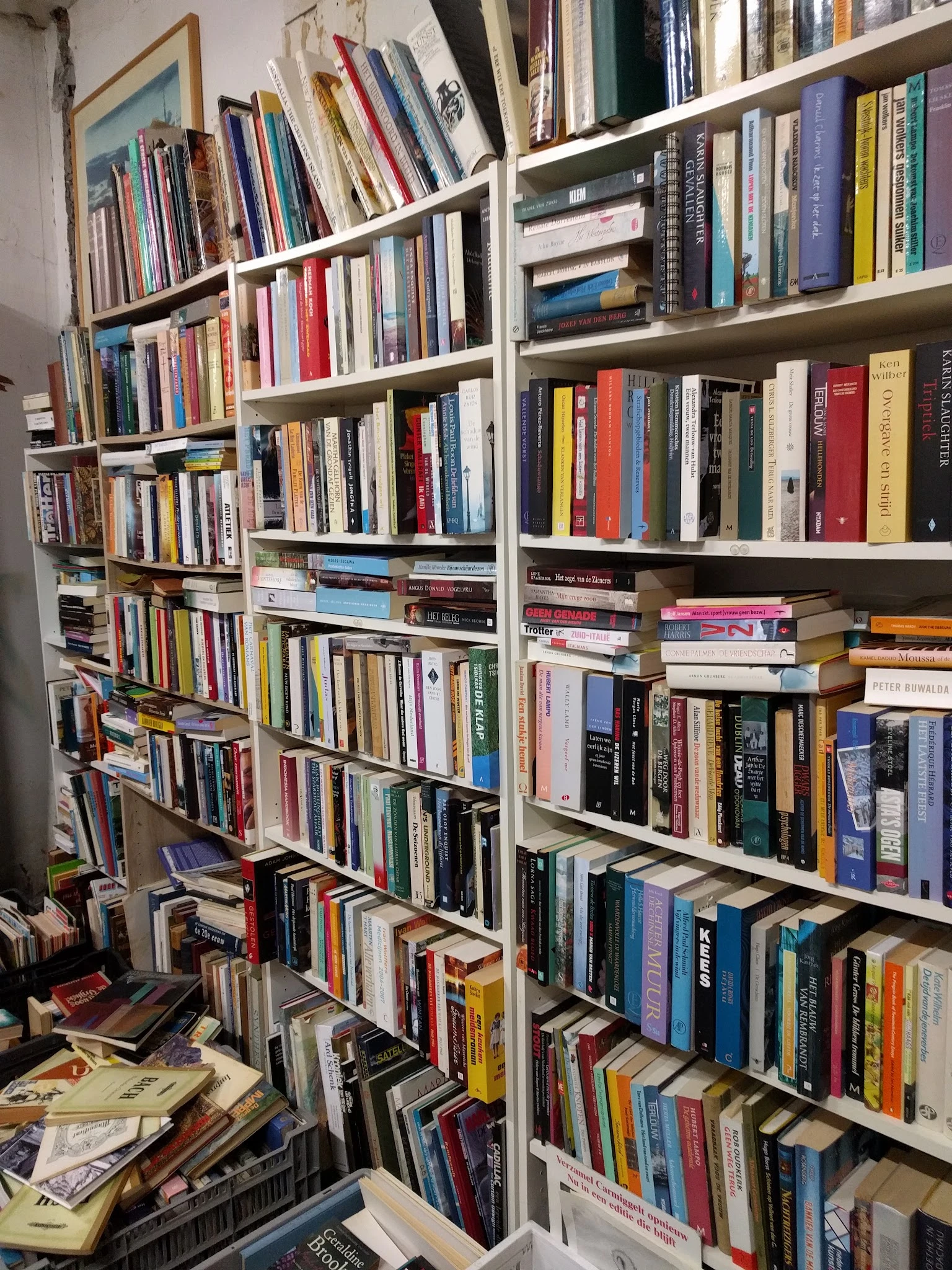 Boekenkasten met honderden tweedehands boeken in verschillende genres en kleuren netjes uitgestald op witte stellingen.